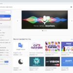 Google Chrome Themes