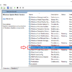 Windows 10 update services