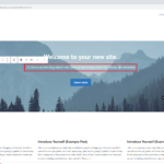 Homepage Edit