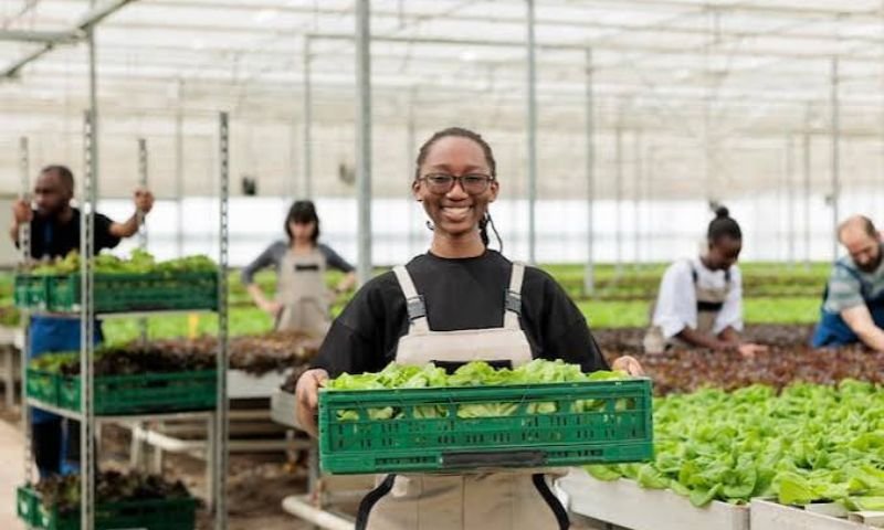 Horticulturist / Market Gardener (m/f/x) needed in Luxembourg
